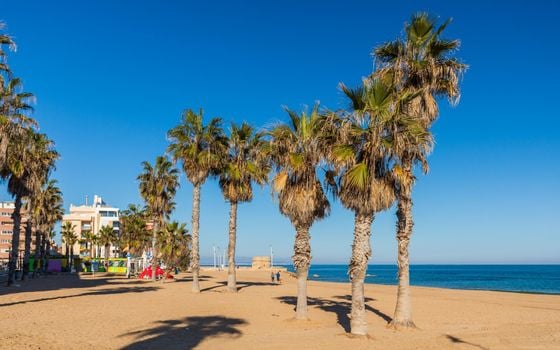 Apartament cu 1 dormitor în Torrevieja - GVS145424 - Imagini - Small - 19