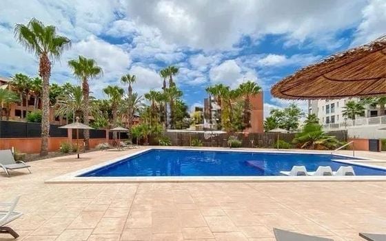 2 bedroom Apartment in Las Filipinas - GVS132042 - Photo - Small - 17