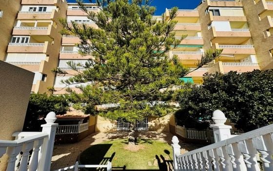 Penthouse de 3 chambres à La Mata - SMPN132047 - Photo - Small - 30