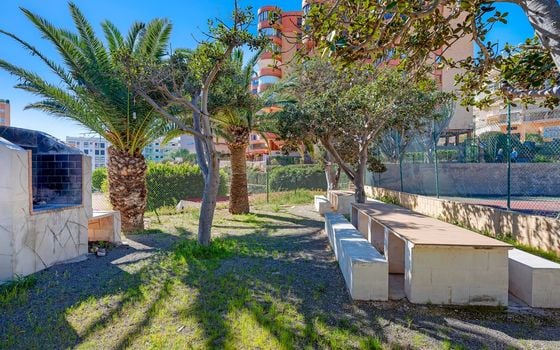 3 bedroom Apartment in Arenales del Sol - CBB132077 - Photo - Small - 22