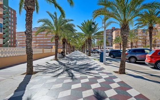 3 bedroom Apartment in Arenales del Sol - CBB132077 - Photo - Small - 29