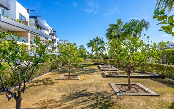 3 bedroom Penthouse in Villamartin - CBB132081 - Photo - Small - 42