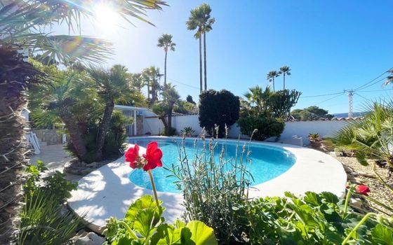 Villa de 4 chambres à Calp - IMBR132184 - Photo - Small - 43