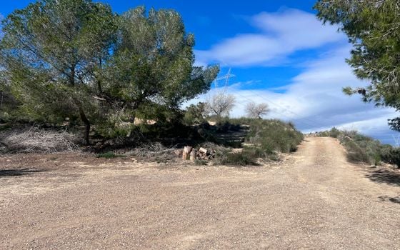 2 bedroom Villa in Torremendo - CSW132190 - Photo - Small - 15