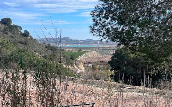 2 bedroom Villa in Torremendo - CSW132190 - Photo - Small - 17
