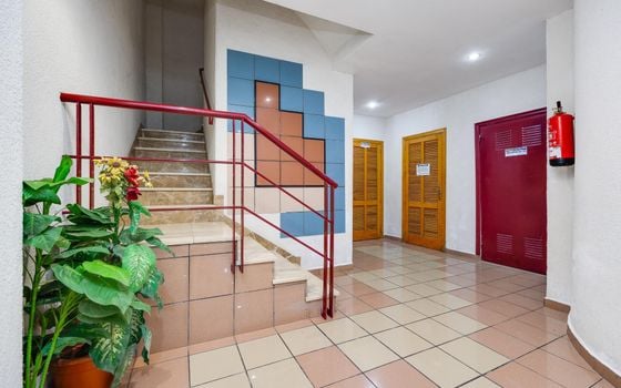 Appartement de 1 chambre à Torrevieja - CYM146978 - Photo - Small - 14
