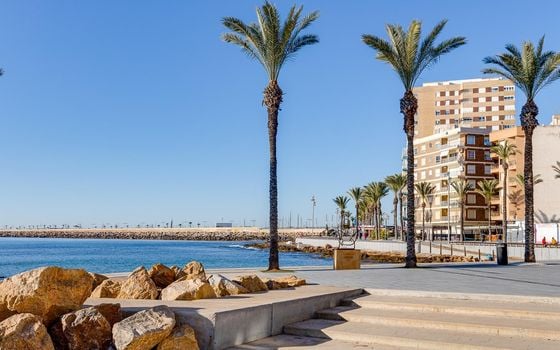 Appartement de 1 chambre à Torrevieja - CYM146978 - Photo - Small - 19