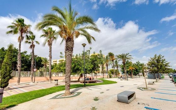 Appartement de 1 chambre à Torrevieja - CYM146978 - Photo - Small - 23
