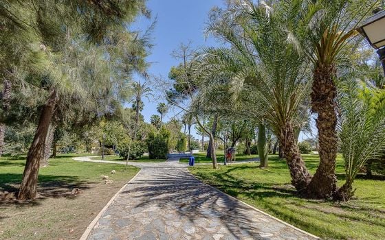 3 bedroom Apartment in Torrevieja - CYM149528 - Photo - Small - 28
