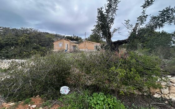 Parcela de  en Benissa- PVS132222 - Foto - 3