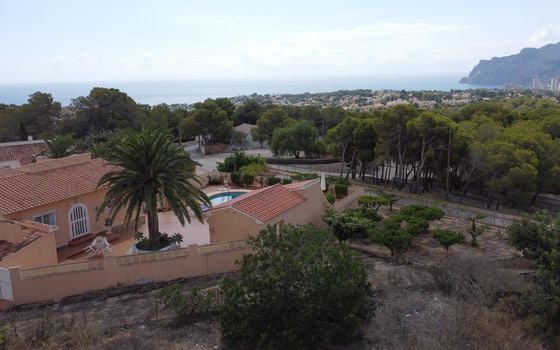Parcela de  en Benissa- PVS132222 - Foto - Small - 9