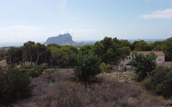 Parcela de  en Benissa- PVS132222 - Foto - Small - 10