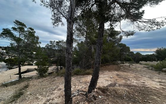 Parcela de  en Benissa- PVS132223 - Foto - 2