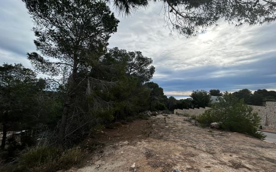 Parcela de  en Benissa- PVS132223 - Foto - 1