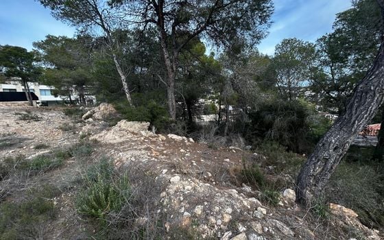 Parcela de  en Benissa- PVS132223 - Foto - 5