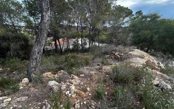 Parcela de  en Benissa- PVS132223 - Foto - Small - 6