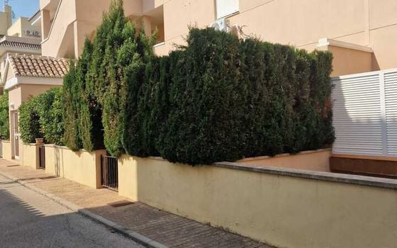 Appartement de 2 chambres à Denia - TPT132254 - Photo - Small - 20