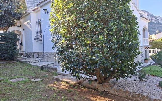Villa de 3 chambres à Denia - DINV132276 - Photo - Small - 34