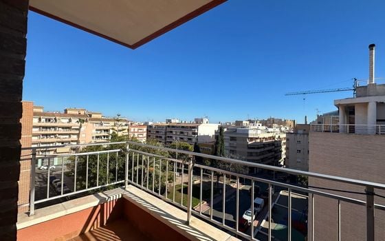 Appartement de 3 chambres à Torrevieja - CT132305 - Photo - Small - 21