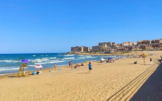 2 bedroom Apartment in Torrevieja - SV136567 - Photo - Small - 37