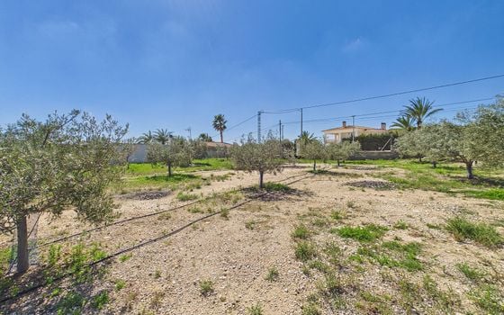 3 bedroom Villa in Albatera - OKW132452 - Photo - Small - 33
