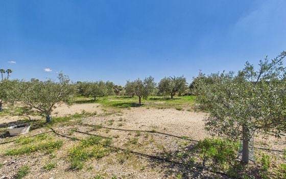 3 bedroom Villa in Albatera - OKW132452 - Photo - Small - 34