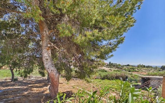 3 bedroom Villa in Albatera - OKW132452 - Photo - Small - 35