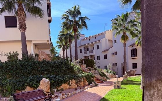 3 bedroom Penthouse in Orihuela Costa - NSP132577 - Photo - Small - 26