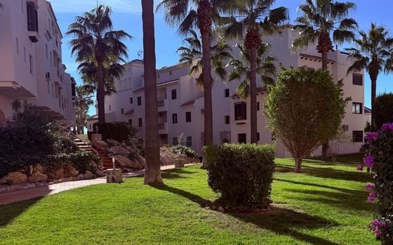 3 bedroom Penthouse in Orihuela Costa - NSP132577 - Photo - Small - 27