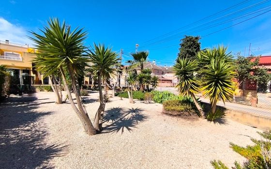 2 bedroom Bungalow in Orihuela - PR161223 - Photo - Small - 16