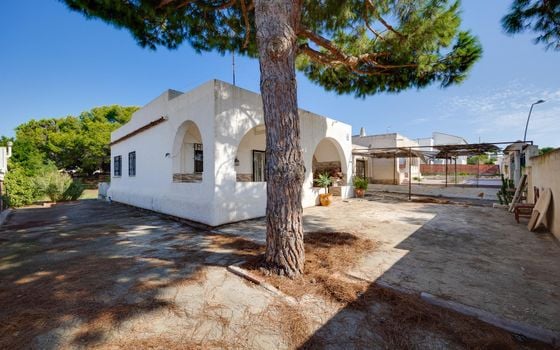 Villa de 3 chambres à Los Balcones - PSA132682 - Photo - Small - 29