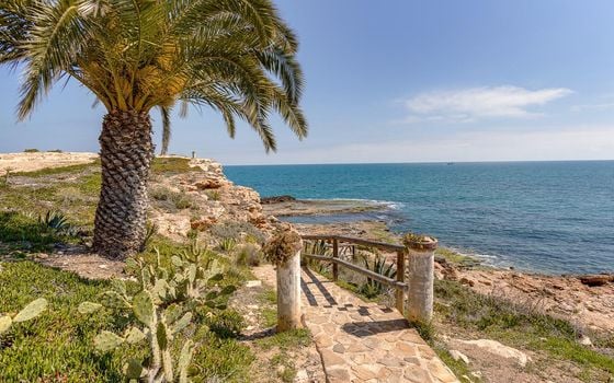 2 bedroom Apartment in Torrevieja - HRE140916 - Photo - Small - 32