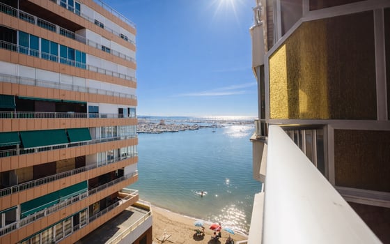 3 bedroom Apartment in Torrevieja - TIM133426 - Photo - Small - 22