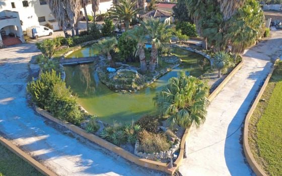 7 bedroom Villa in Ondara - PGP133534 - Photo - Small - 39