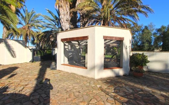 7 bedroom Villa in Ondara - PGP133534 - Photo - Small - 32