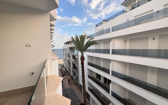 2 bedroom Apartment in Torrevieja - LR133575 - Photo - Small - 20