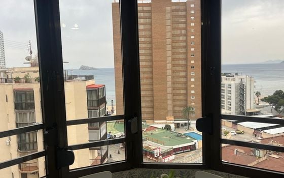 Appartement de 1 chambre à Benidorm - CPP133576 - Photo - Small - 17
