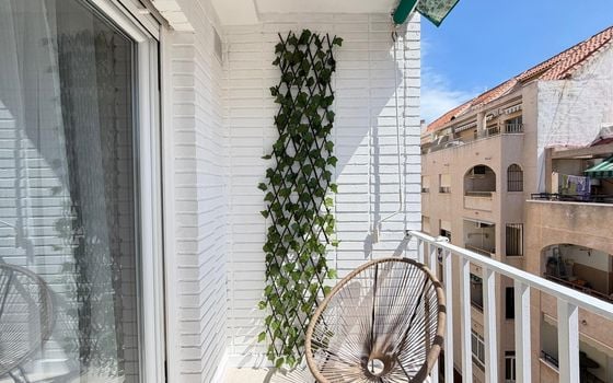 3 bedroom Penthouse in Torrevieja - CT133698 - Photo - Small - 44