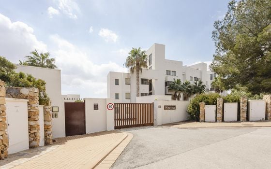 2 bedroom Penthouse in Orihuela Costa - TIM134018 - Photo - Small - 27