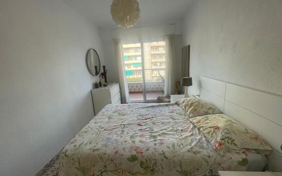 2 bedroom Apartment in Punta Prima - LR134104 - Photo - 5