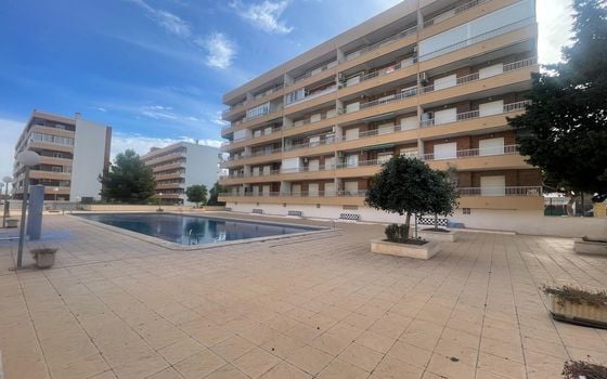 2 bedroom Apartment in Punta Prima - LR134104 - Photo - 1