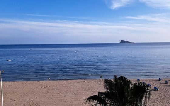 Appartement de 4 chambres à Benidorm - CPP134308 - Photo - Small - 15