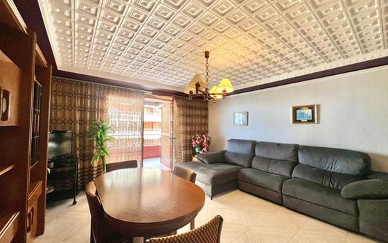 Appartement de 3 chambres à Torrevieja - CT134360 - Photo - 2