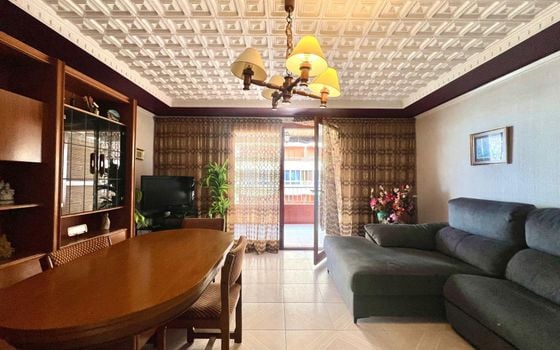 Appartement de 3 chambres à Torrevieja - CT134360 - Photo - 4