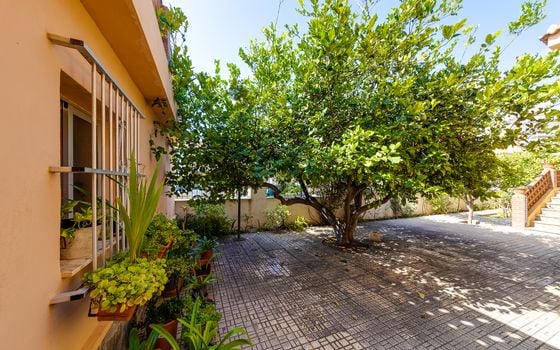 4 bedroom Villa in La Mata - CBC33519 - Photo - Small - 36