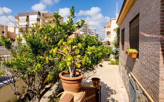 4 bedroom Villa in La Mata - CBC33519 - Photo - Small - 37