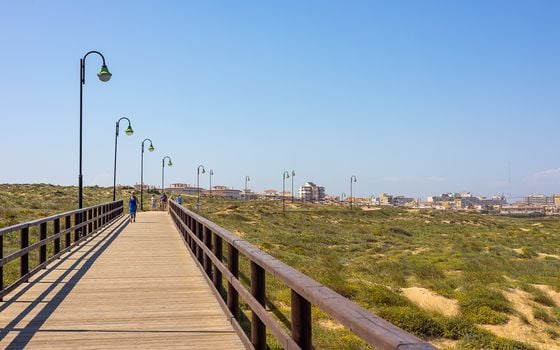 4 bedroom Villa in La Mata - CBC33519 - Photo - Small - 53
