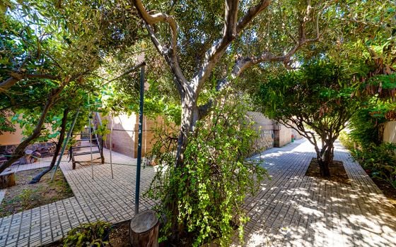 4 bedroom Villa in La Mata - CBC33519 - Photo - Small - 38