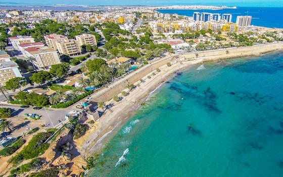 Vilă cu 3 dormitoare în Torrevieja - CBC33534 - Imagini - Small - 11