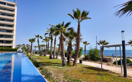 2 bedroom Apartment in Torrevieja - ET134545 - Photo - Small - 37
